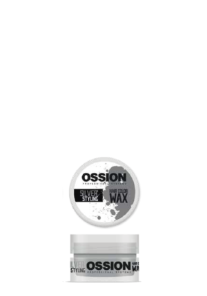SILVER STYLING HAIR COLOR WAX 100ML